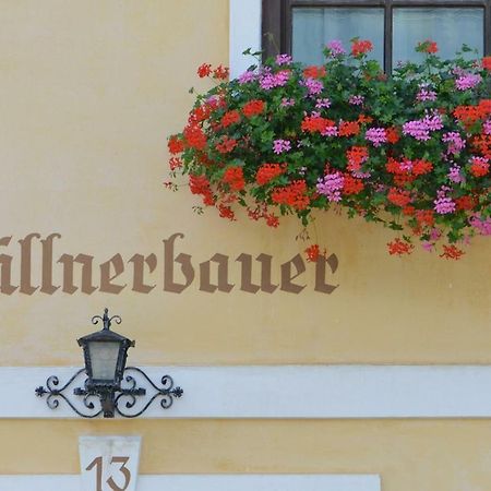 Ferienwohnung Müllnerbauer Napplach Exterior foto