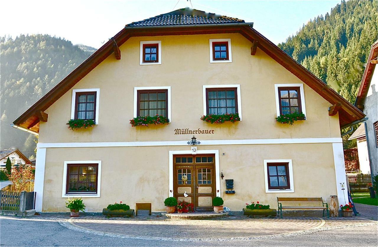 Ferienwohnung Müllnerbauer Napplach Exterior foto