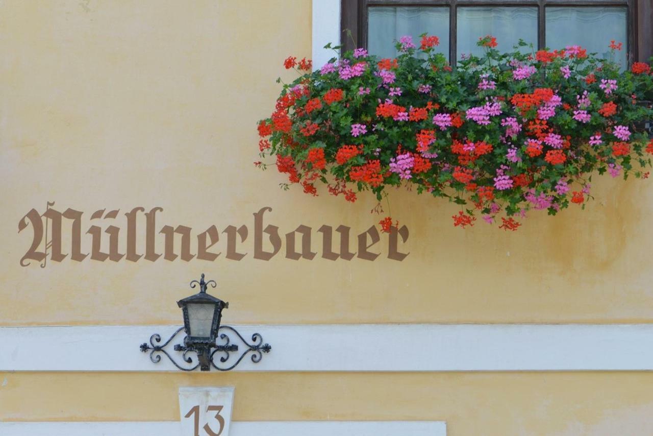 Ferienwohnung Müllnerbauer Napplach Exterior foto