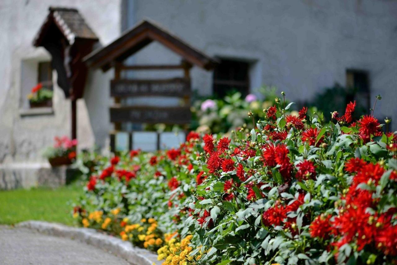 Ferienwohnung Müllnerbauer Napplach Exterior foto