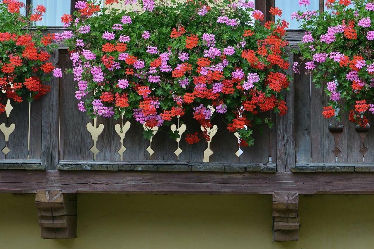 Ferienwohnung Müllnerbauer Napplach Exterior foto